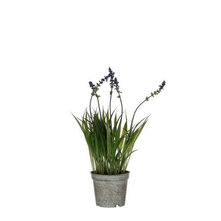 Artificial Lavender in Pot 30cm