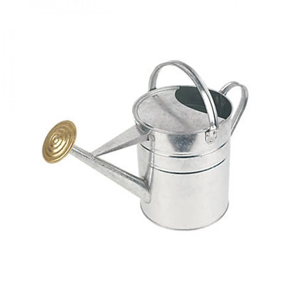 Galvanised Watering Can - 9ltr
