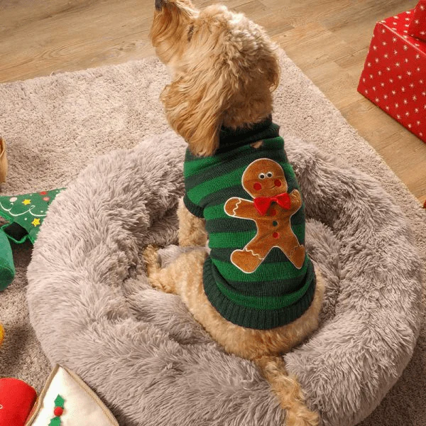 Gingerbread Christmas Dog Jumper - 35cm