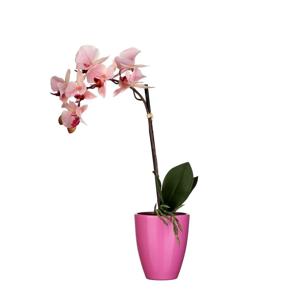 Mica Decorations Phalaenopsis Pink in pot Tusca Pink 42cm