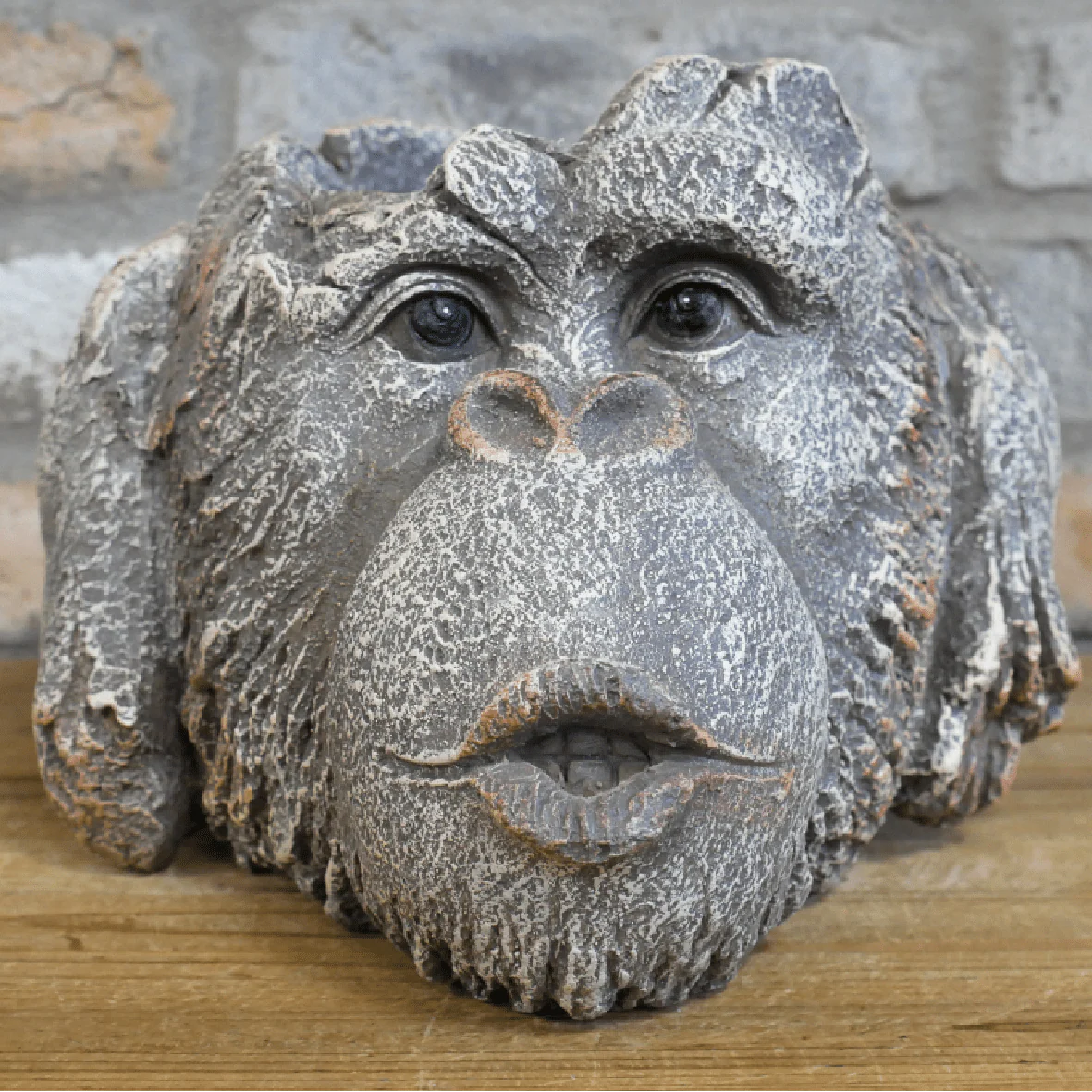 Monkey Head Planter 9447