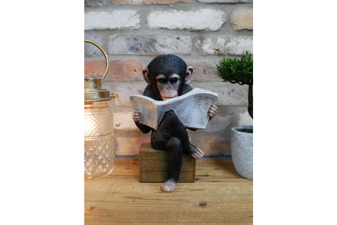 Monkey Reading The News Ornament 28cm - Image 6