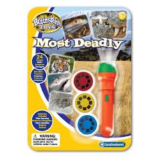 Most Deadly Torch And Projector