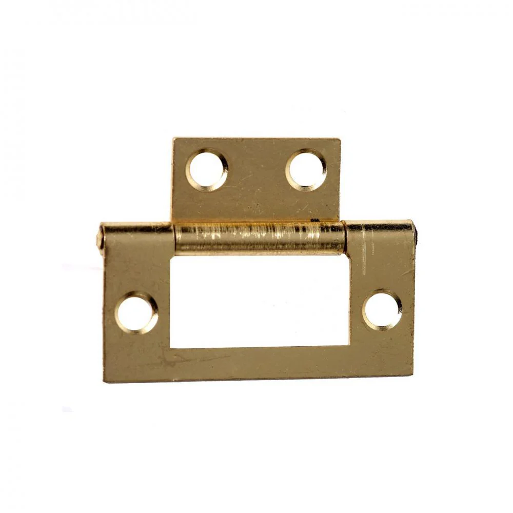 Phoenix Flush Hinge