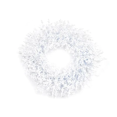 Premier 50cm Arctic Wreath - Image 2