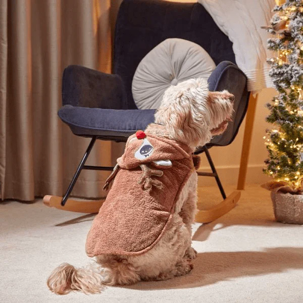 Rudy Christmas Dog Hoodie - 35cm