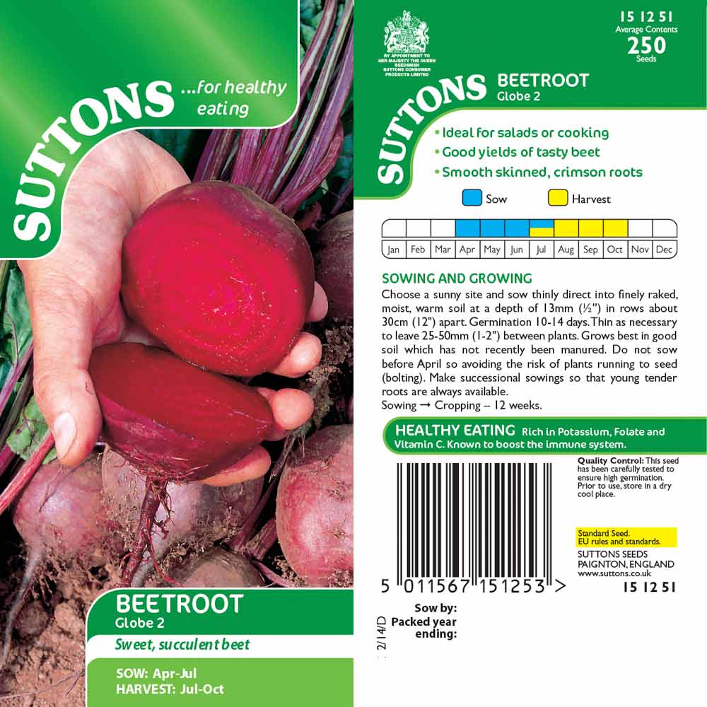 Suttons Beetroot Globe 2 151251 - Image 2