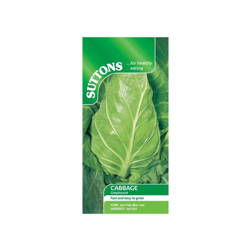 Suttons Cabbage Greyhound 153805