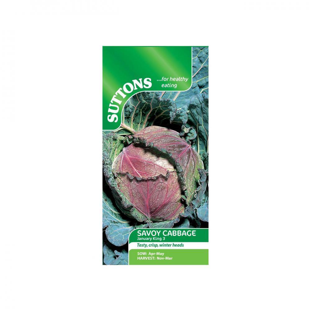 Suttons Cabbage Savoy January King3 155644