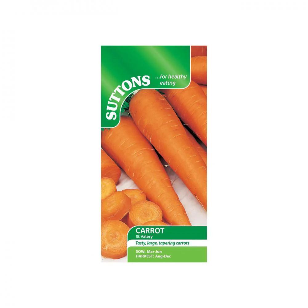 Suttons Carrot St Valery 157475