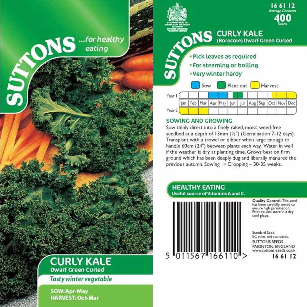 Suttons Kale Curly Dwarf Green Curled 166112 - Image 2